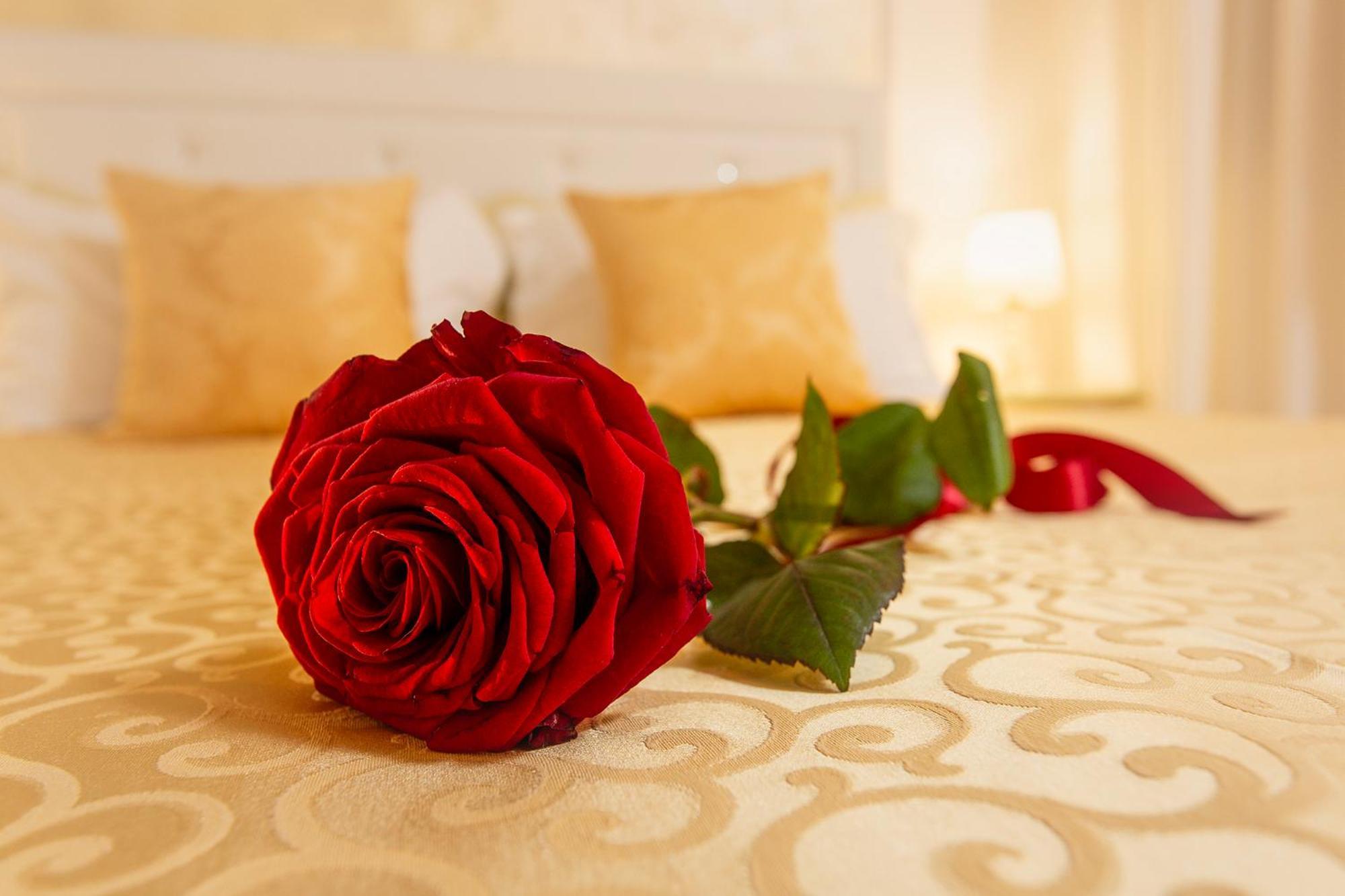 Guest house Capatron Venice